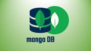 MongoDB for Beginners